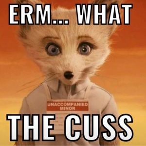 Meet your Posher, Simone